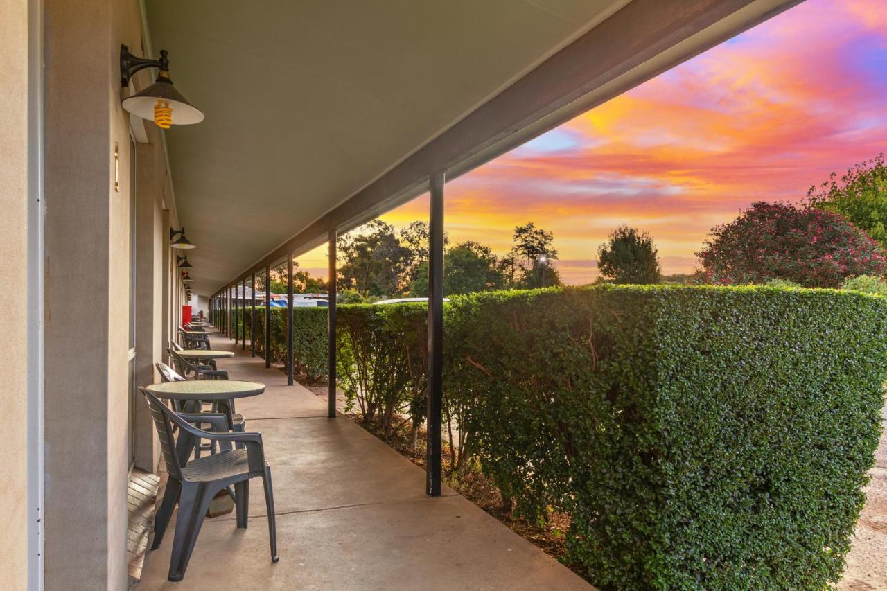 וואגה וואגה Burringa Garden Motel מראה חיצוני תמונה